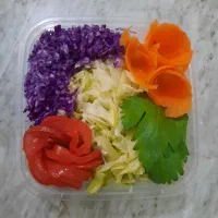 فروش انواع سالاد اقتصادی