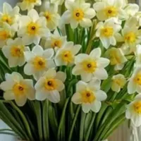 راهنمایی بفرمایید