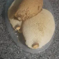 عسل طبیعی|خوردنی و آشامیدنی|اهواز, ۲۴ متری|دیوار