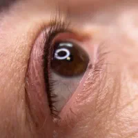 شیدینگ لب ، فیبروز و بن مژه حرفه ای|خدمات آرایشگری و زیبایی|شیراز, ملاصدرا|دیوار