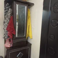 جاکفشی سالم