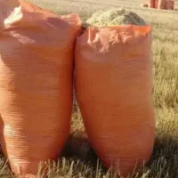 کاه گندم