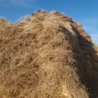 یونجه|عمدهفروشی|اردبیل, |دیوار