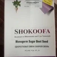 بذر چغندرقند شکوفا