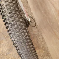 دوچرخه ۲۶ پوما حرفه ای|دوچرخه، اسکیت، اسکوتر|ایلام, |دیوار