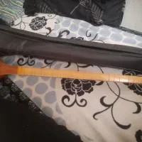 آلات موسیقی|سازهای سنتی|شاهرود, |دیوار