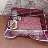 قفس پرنده نو