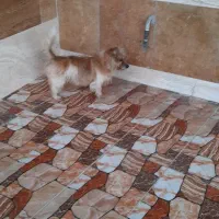 سرگرمی وفراغت