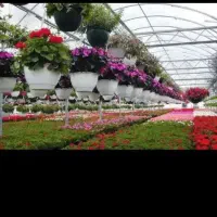 کلیه خدمات باغبانی منازل پذیرفته می شود