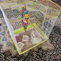 قفس پرنده با تمام تجهیزات