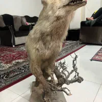 دکوری زیبا و منحصر