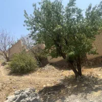 معاوضه زمین با واحد