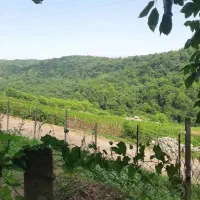 فروش-ویژه-ی-زمین-الحاق-به-بافت-در-سوادکوه