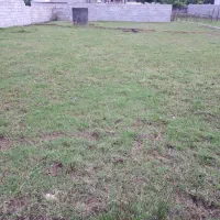 فروش ۴۱۵ متر مربع زمین مسکونی ثبتی در تالش طولارود