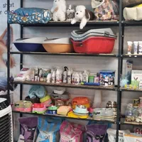 لوازم حیوانات خانگی میوداگ|لوازم جانبی حیوانات|فیروزآباد (فارس), |دیوار