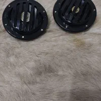 بوق‌رنویی ایرانی