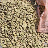 باقلای خشک درجه یک امسالی|خوردنی و آشامیدنی|بهشهر, |دیوار