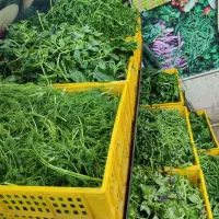 فروشگاه ریحان سبز پرند|خوردنی و آشامیدنی|پرند, فاز ۲|دیوار