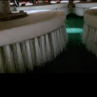 قالیشویی لاله|خدمات نظافت|زابل, |دیوار