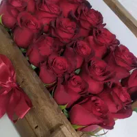 گل رز قرمز سالم با گلدان چوبی زیبا|گل و گیاه طبیعی|تهران, نظامی گنجوی (توانیر)|دیوار