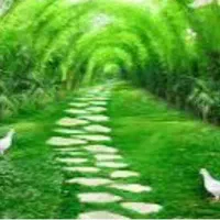 استخدام روان شناس