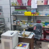 نمایندگی دستگاه جوجه کشی هدایت درسمنان