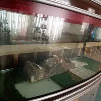 اکواریوم فروشی|ماهی|قوچان, |دیوار