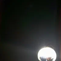 شجر|جواهرات|کرج, پیشاهنگی|دیوار