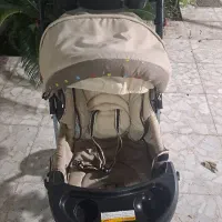 کالسکه|کالسکه و لوازم جانبی|رشت, ساغری سازان|دیوار