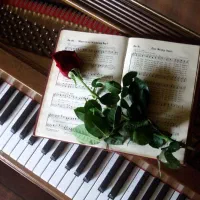 ارکس تضمینی تالار خواننده پلی بک دیجی موزیک