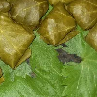 برگ دلمه برگ مو‌ برگ میم|خوردنی و آشامیدنی|مشهد, فدک|دیوار