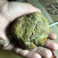 شهاب سنگ|جواهرات|دزفول, |دیوار