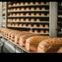 استخدام اقا در بخش تولید و راننده پایه۲ در کارخانه