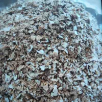 پوست بادام آسیاب شده برای دامداری|گل و گیاه طبیعی|رودبنه, |دیوار