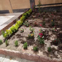 انجام خدمات باغبانی باغچه کاری گلکاری|خدمات باغبانی و درختکاری|تهران, درکه|دیوار