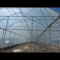 ساخت و اجرای گلخانه صنعتی