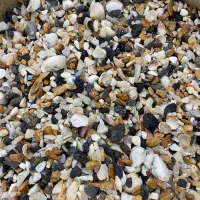 سنگ و شن آکواریوم ماهی