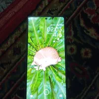 گوشی ،Poco m.6 pro
