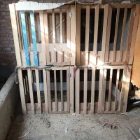 قفس|لوازم جانبی حیوانات|نقده, |دیوار