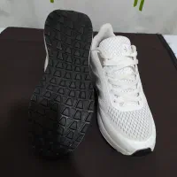 کفش آدیداس|کیف، کفش، کمربند|سمنان, |دیوار