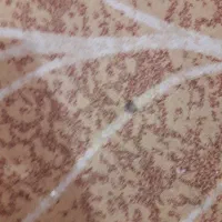 ۲ تا فرش کودک بسیار تمییز در حد نو|فرش|اهواز, زیتون کارمندی|دیوار