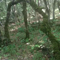 پول رایگان،۱۰۰هزار و یا هم بیشتر از ۱۰۰ هزار