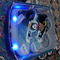 کفش اسکیت
