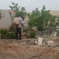 باغبانی در پردیس کرشت رودهن مهراباد|خدمات باغبانی و درختکاری|پردیس, فاز ۸|دیوار