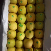 نیروی خانم اشنا با کار بسته بندی سیب در سبد|استخدام خدمات فروشگاه و رستوران|میانه, |دیوار