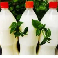 دوغ ترخینه