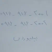 شماره خاص برای آقای خاص