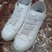 کفش|کیف، کفش، کمربند|زرند, |دیوار