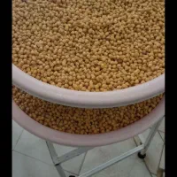 فلافل عمده|خوردنی و آشامیدنی|کنارک, |دیوار