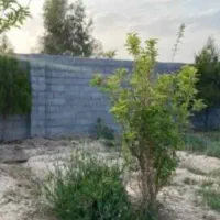 زمین برای فروش